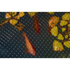 Crop & Pond Protection Netting 2m x 4m