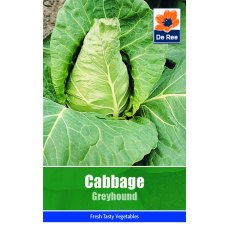 Cabbage Greyhound Seeds