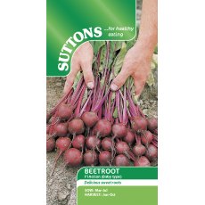 Beetroot F1 Action Seeds