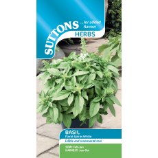 Suttons Basil Floral Spires White Seeds