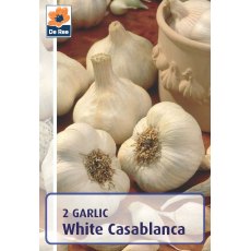De Rees Garlic White Casablanca Bulbs