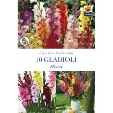 Gladioli Mixed Bulb
