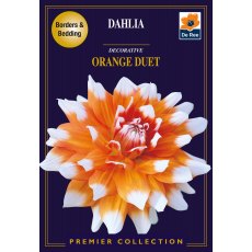 Dahlia Orange Duet Bulb