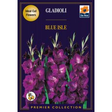 Gladioli Blue Isle Bulb