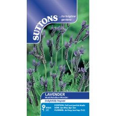Suttons Lavender Multifda Blue Wonder Seeds