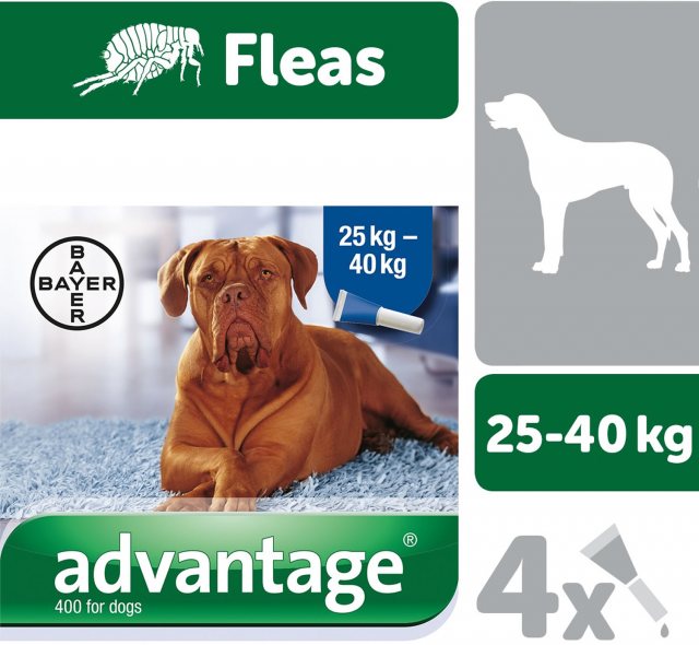 Bayer Spot On Advantage 25kg Plus
