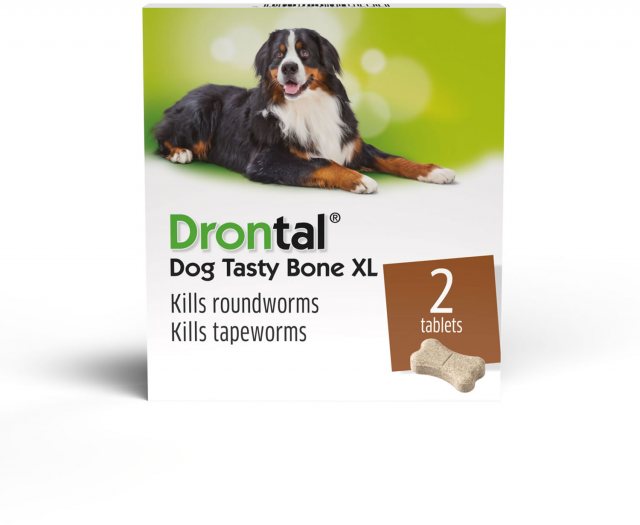 Bayer Drontal Plus Extra Large Dog 2 Tablets