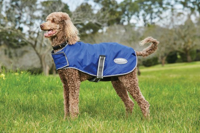 Weatherbeeta Windbreaker Dog Coat Blue