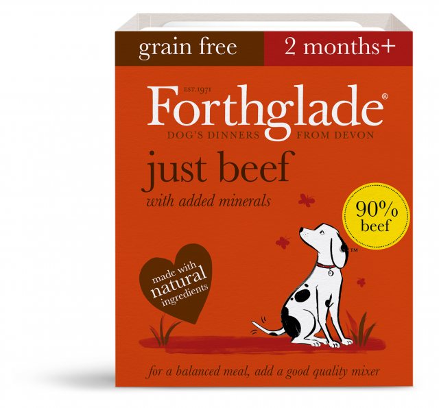 FORTHGLA Forthglade Grain Free Adult Just Beef 395g