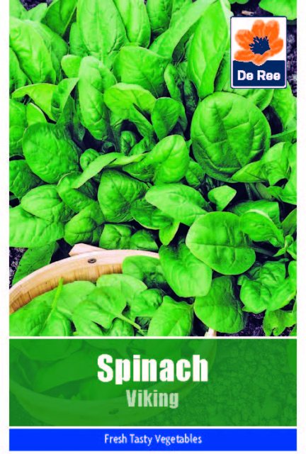 De Ree Spinach Viking Seeds