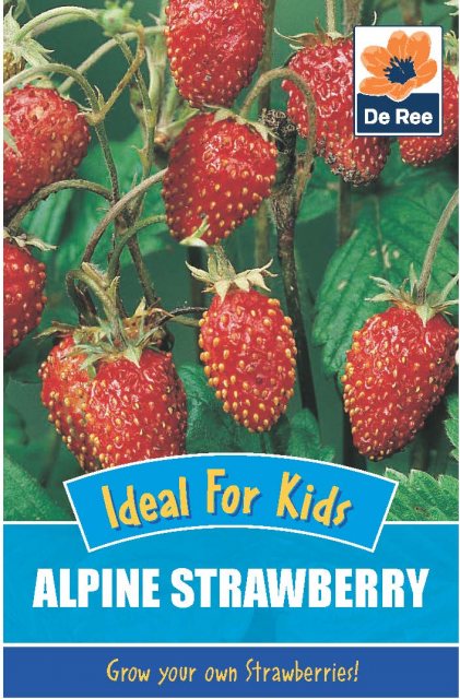 De Ree Alpine Strawberry Seeds