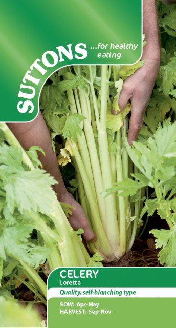 SUTTONS Suttons Celery Loretta Seeds