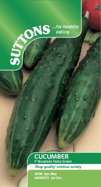 SUTTONS Cucumber Burpless Tasty Green F1 Seeds
