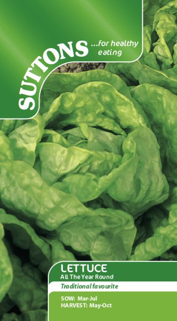 SUTTONS Lettuce All The Year Round Seeds