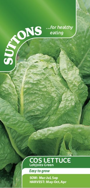 SUTTONS Suttons Lettuce Lobjoits Green Cos Seeds
