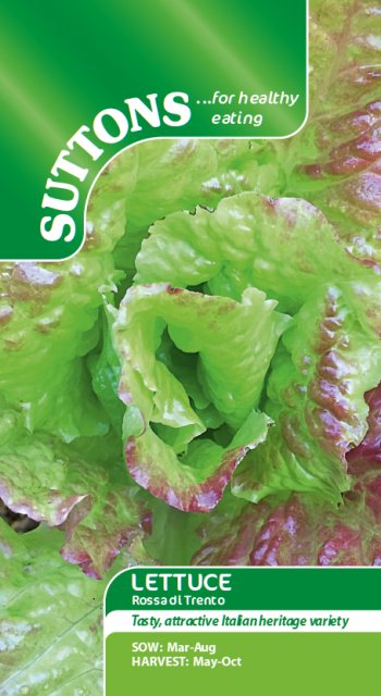 SUTTONS Suttons Lettuce Rossa Di Trento Seeds