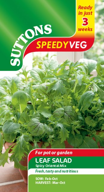 SUTTONS Suttons Speedy Veg Leaf Salad Spicy Oriental Mix Seeds
