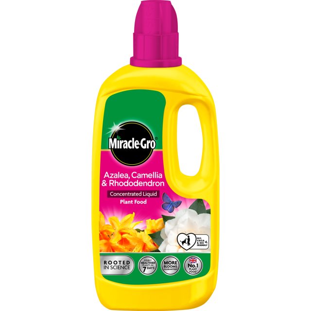 MIRACLE Miracle Gro Azalea Concentrated Plant Food 800ml