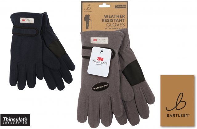 Bartleby Ladies Thinsulate Weather Resistant Gloves Assorted