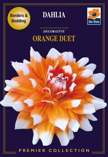 De Ree Dahlia Orange Duet Bulb