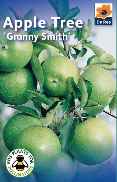 De Ree Granny Smith Apple Tree