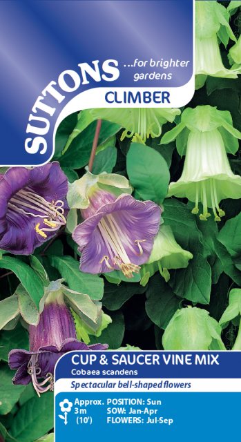 SUTTONS Suttons Cup & Saucer Plant Seeds
