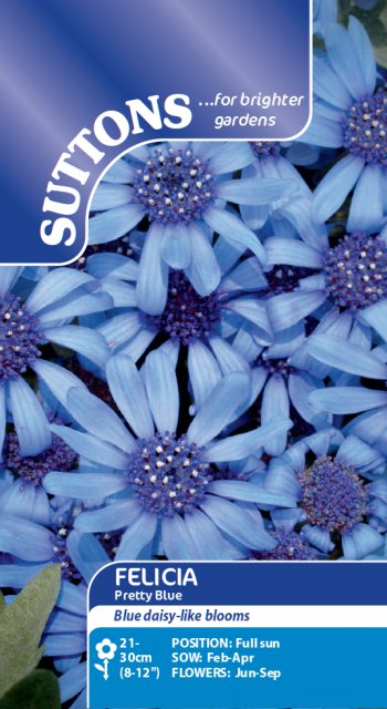 SUTTONS Suttons Felicia Pretty Blue Seeds