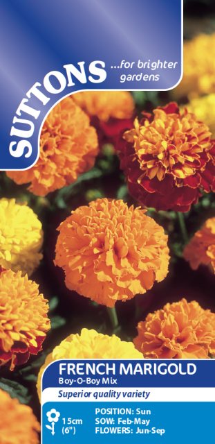 SUTTONS Suttons French Marigold Boy-O-Boy Mix Seeds