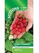 SUTTONS Suttons Strawberry Alpine Regina Seeds