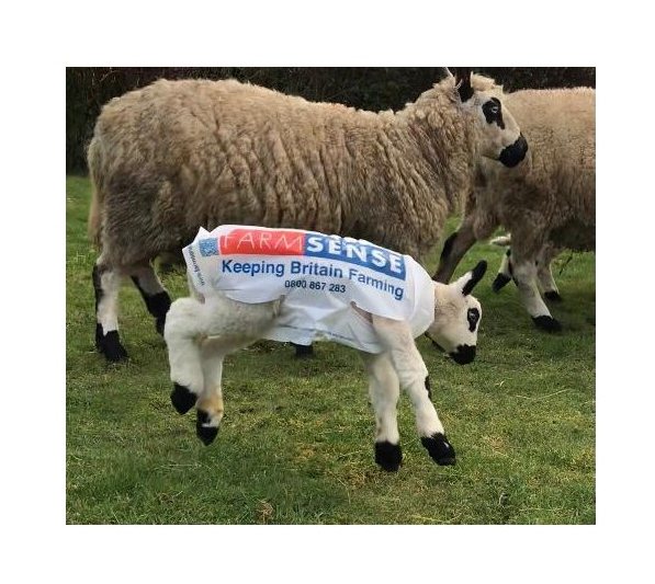 Farmsense Lamb Macs 50 Pack