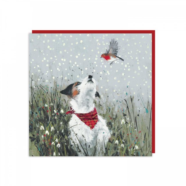Christmas Card Feathered Friend 6 Pack
