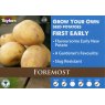 POTATO SEED FOREMOST 2KG
