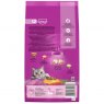 Whiskas Whiskas 1+ Cat Complete Dry With Chicken