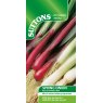 SEED SPRING ONION RED & WHITE MIX