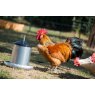 Galvanised Poultry Feeder