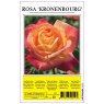 ROSE KRONENBOURG PINK/YELLOW