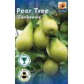 TREE PEAR CONFERENCE
