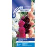SEED HOLLYHOCK CHATERS MIX