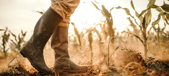 FARM & SMALLHOLDER