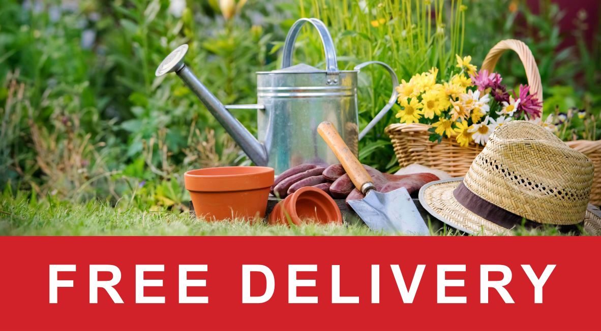 FREE DELIVERY 