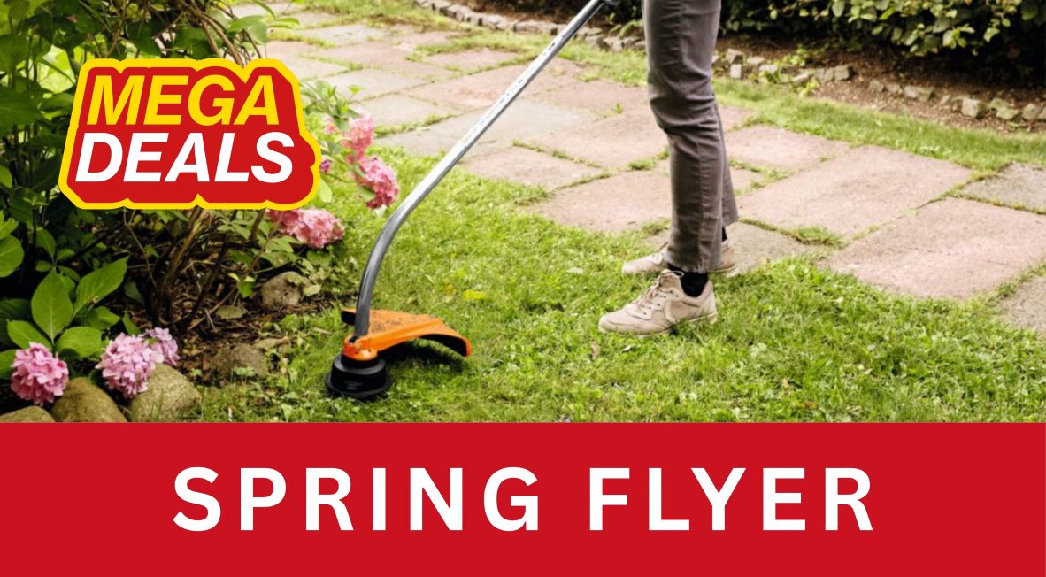 SPRING FLYER