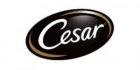 Cesar 