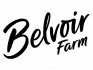 Belvoir