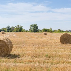 Bale Twine 