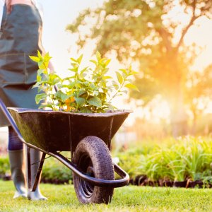 Wheelbarrows