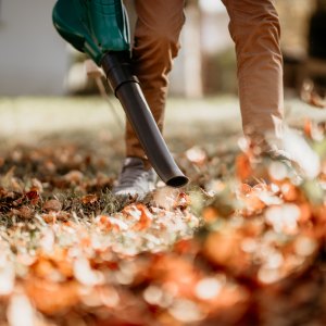 Leaf Blowers & Vacuums