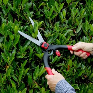 Shears & Pruners