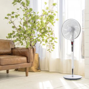 Fans & Humidifiers