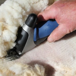 Sheep Clippers & Shearing