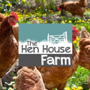 Purchase Hens Here